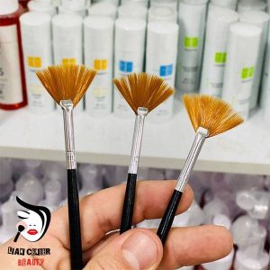 براش باد بزنی اسید تراپی